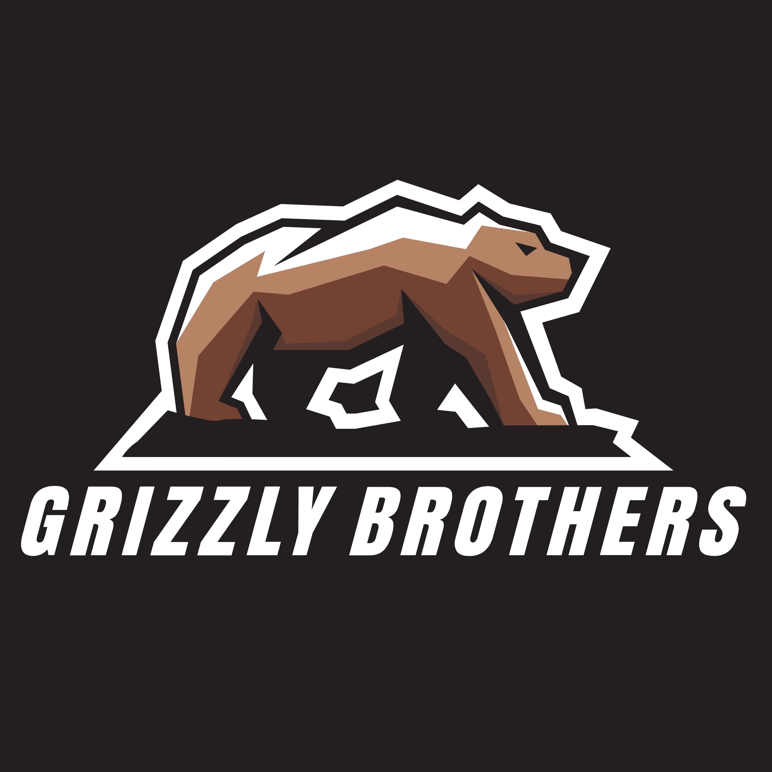 Grizzly Brothers Gutters
