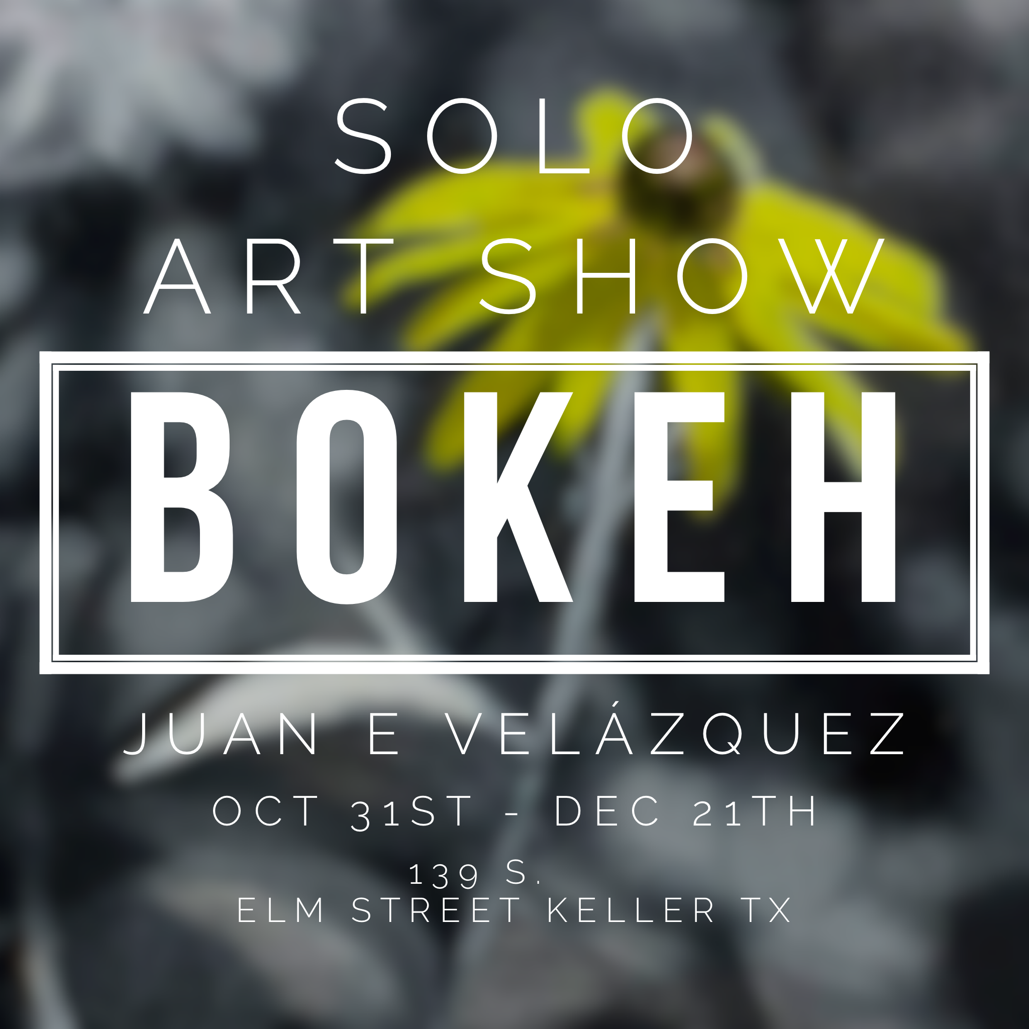 Art Reception: Bokeh | Juan Velazquez